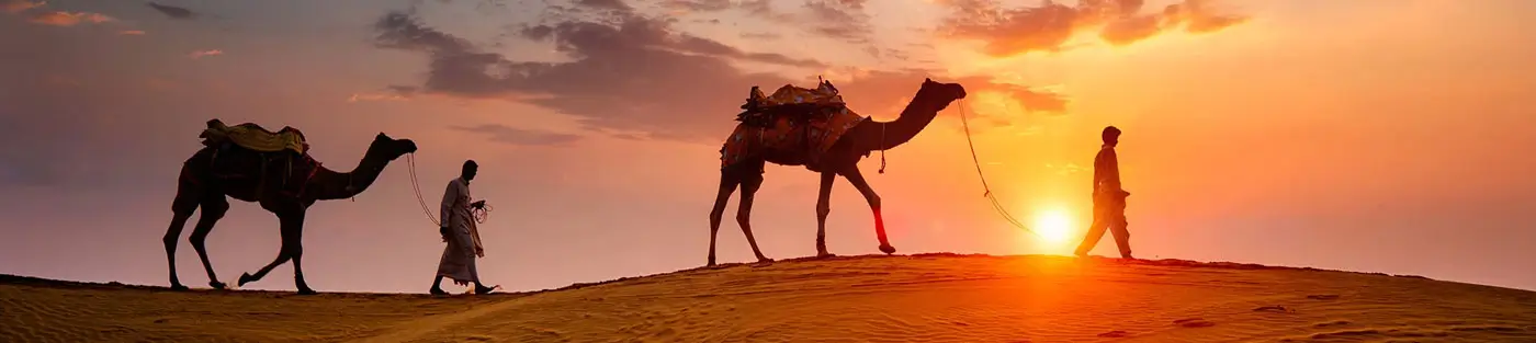 13-Day Rajasthan Heritage & Wildlife Tour with Tigers and Desert Adventures