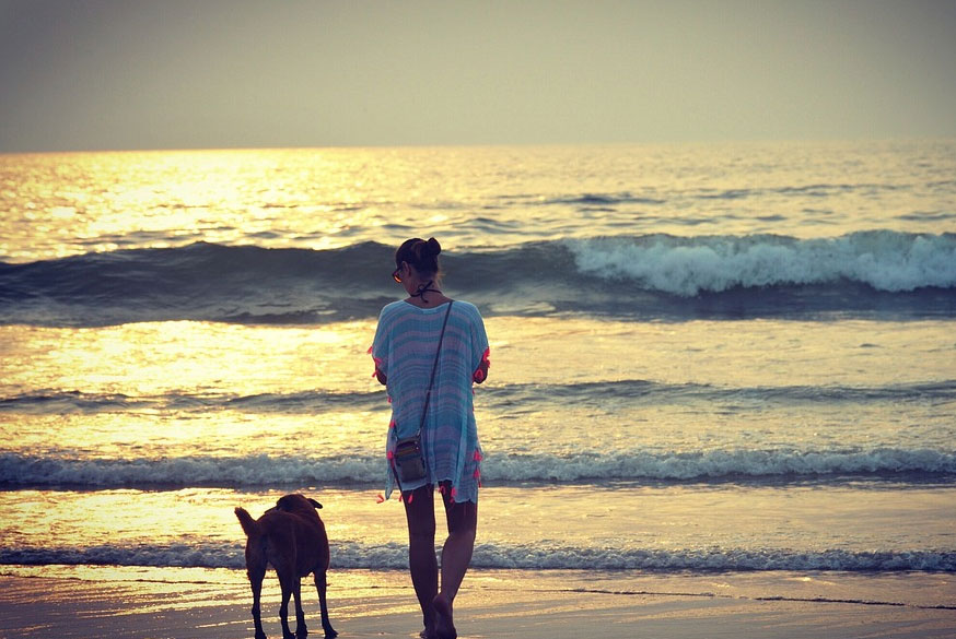 12 Days Romantic Honeymoon in South India – Kerala & Tamil Nadu Hill Retreat