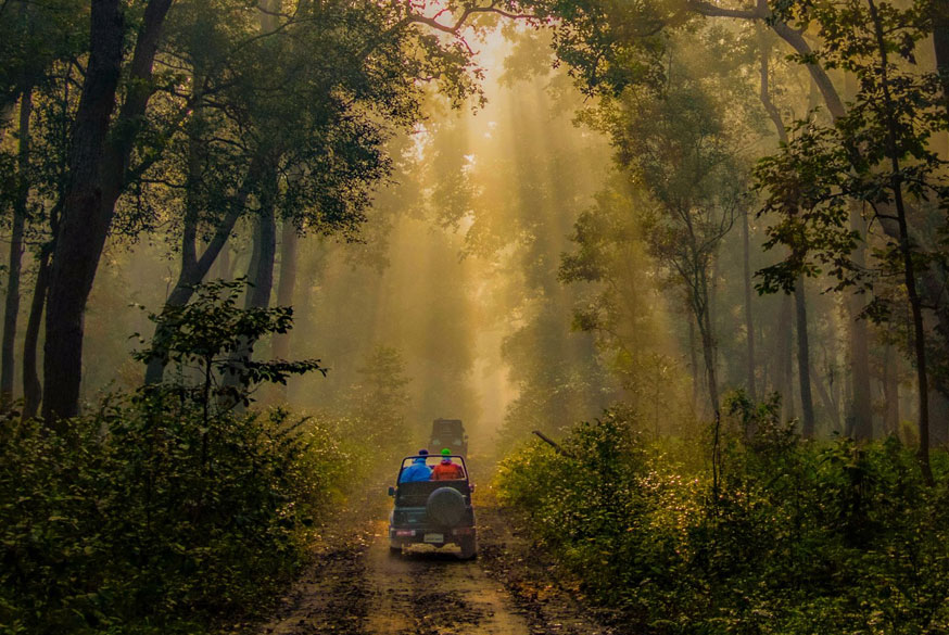 15 Days India & Nepal Wildlife Tour – From Corbett Tigers to Chitwan Rhinos